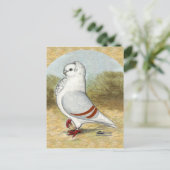 オールドドイツ・フクロウ・ハト ポストカード (スタンド正面)