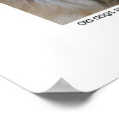 オールドドッグ引用文 ポスター (角)