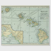 オールドハワイ諸島地図（1921年）ヴィンテージハワイアン ラッピングペーパー (フラット)