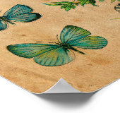 オールドバタフライアンティークコレクションポスター ポスター (角)