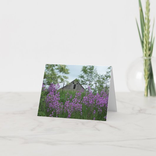 オールドバーンバックオブフロックス カード (正面)