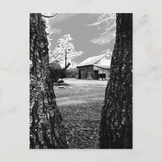 オールドバーンルーラルバーンズカントリーブラック&ホワイト写真 ポストカード (正面)