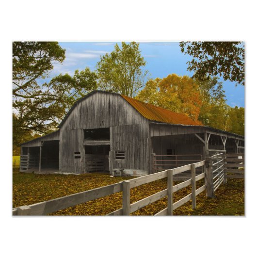 オールドバーン フォトプリント            (正面)