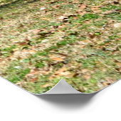 オールドバ素朴ンシェッド ポスター (角)