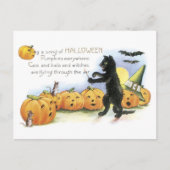 オールドファッションドハロウィーン、黒猫とカボチャ ポストカード (正面)