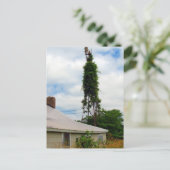 オールドファームステッド ポストカード (スタンド正面)