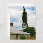 オールドファームステッド ポストカード (正面/裏面)