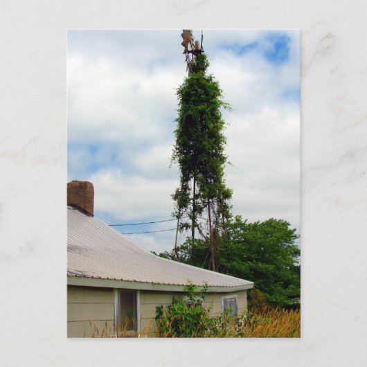 オールドファームステッド ポストカード (正面)