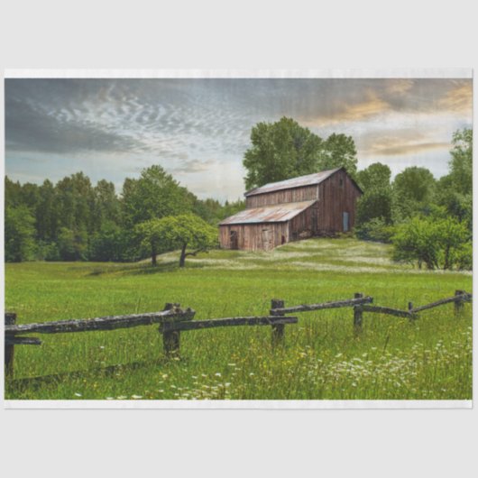 オールドファームバ素朴ンメドウデクページティッシュペーパー 薄葉紙 (正面)