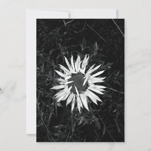 オールドフラワー 招待状 (正面)