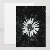 オールドフラワー 招待状 (正面/裏面)