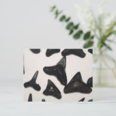 オールドフロリダシャーク歯の顎の化石 ポストカード (スタンド正面)