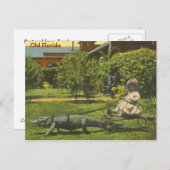 オールドフロリダ州アリゲーターパワー ポストカード (正面/裏面)