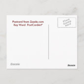 オールドフロリダ州アリゲーターパワー ポストカード (裏面)