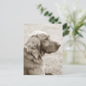 オールドブルー ポストカード (スタンド正面)