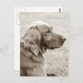 オールドブルー ポストカード (正面/裏面)