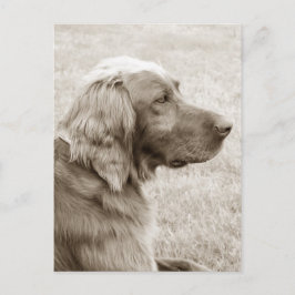 オールドブルー ポストカード