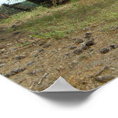 オールドホームステッド ポスター (角)