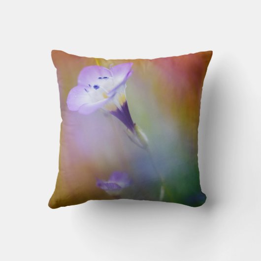 オールドポイントロマライトハウス|カブリロ記念物 クッション (裏面)