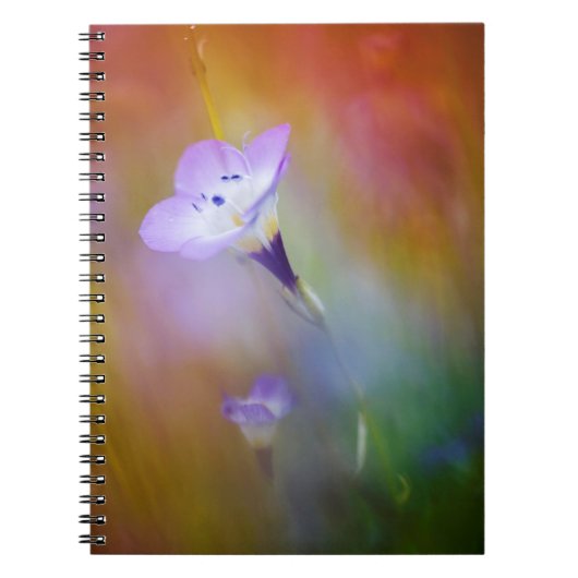 オールドポイントロマライトハウス|カブリロ記念物 ノートブック (正面)