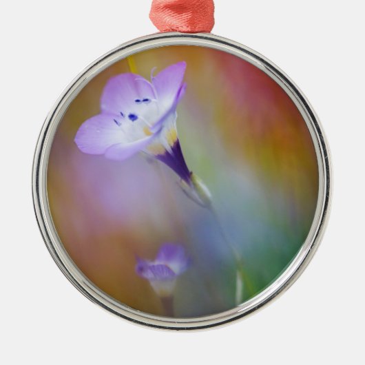 オールドポイントロマライトハウス|カブリロ記念物 メタルオーナメント (正面)