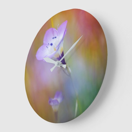 オールドポイントロマライトハウス|カブリロ記念物 ラージ壁時計 (傾斜)