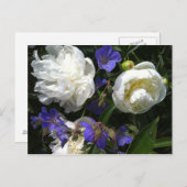 オールドマスターズガーデンはがき ポストカード (正面/裏面)