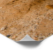 オールドマンサボスポートレート,メキシコ ポスター (角)