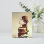 オールドマンシーガルバイシャロンシャーペ ポストカード (スタンド正面)