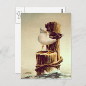 オールドマンシーガルバイシャロンシャーペ ポストカード (正面/裏面)