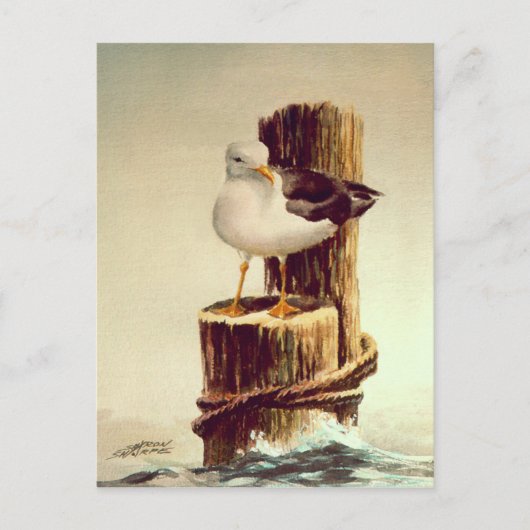 オールドマンシーガルバイシャロンシャーペ ポストカード (正面)