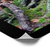 オールドマンズケーブリッジ#1 ポスター (角)