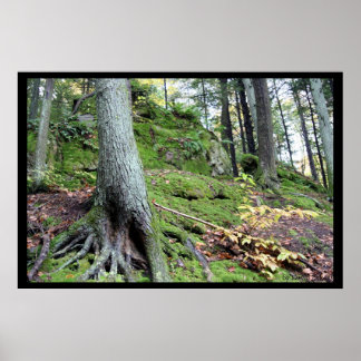 オールドマンズケーブリッジ#1 ポスター