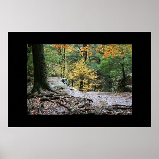 オールドマンズケーブリッジ#2 ポスター (正面)