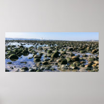 オールドマンズビーチ – サンオノフレ州ビーチ