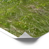 オールドミッションポイントライトハウス ポスター (角)