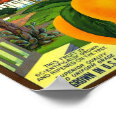 オールドミッション ブランド オレンジ 果物 収穫箱 ラベル ポスター (角)