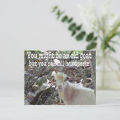 オールドヤギのカード ポストカード (スタンド正面)