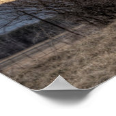 オールドレッドバーンウィンターツリーズHDR写真 ポスター (角)