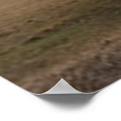 オールドレッドバーン ポスター (角)