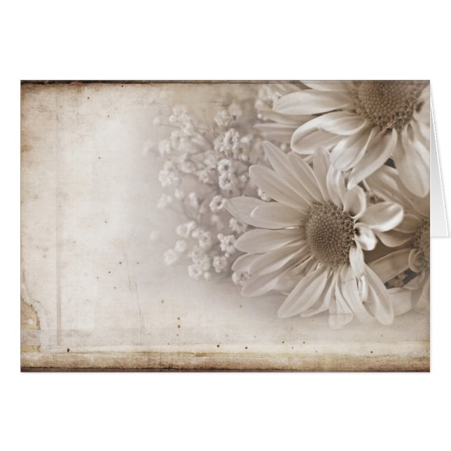 オールドロマンス (正面横)