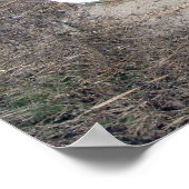 オールドロー素朴ボート ポスター (角)