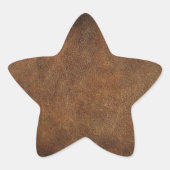 オールドワールドフェイクレザー 星シール (正面)