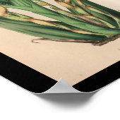 オールドヴィンテージオーキッドフラワープリントイエロー ポスター (角)