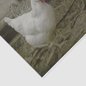 オールドヴィンテージ納屋周囲の庭カントリーチキン 薄葉紙 (詳細)