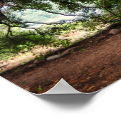 オールド素朴オリーブの木 ポスター (角)