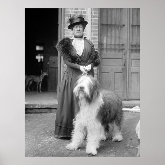 オールド・イングリッシュ・シェプドッグ， 1915 ポスター (正面)