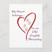 オールド・イングリッシュ・シープドッグの愛 ポストカード (正面)