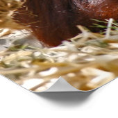 「オールド・ソウル」 ポスター (角)