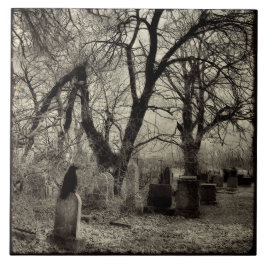 オールハロウズイブのカラス タイル